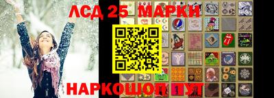 молекула духа Будённовск