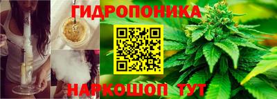 молекула духа Будённовск