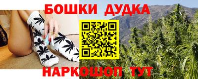 молекула духа Будённовск