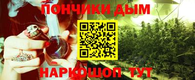 молекула духа Будённовск